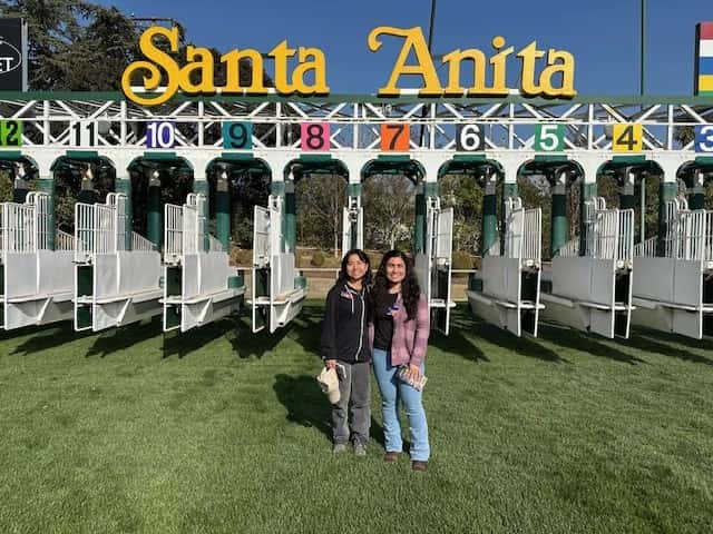 Pic SAP Gate