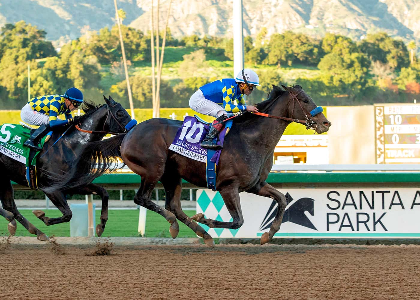 Stake bonus beregning visualisering