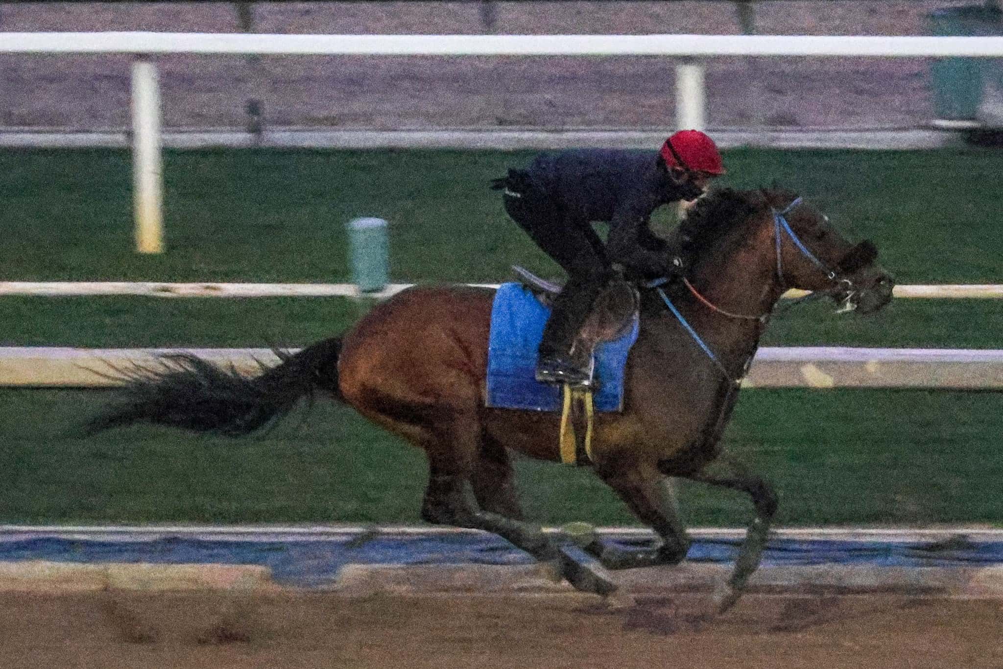 Stronghold