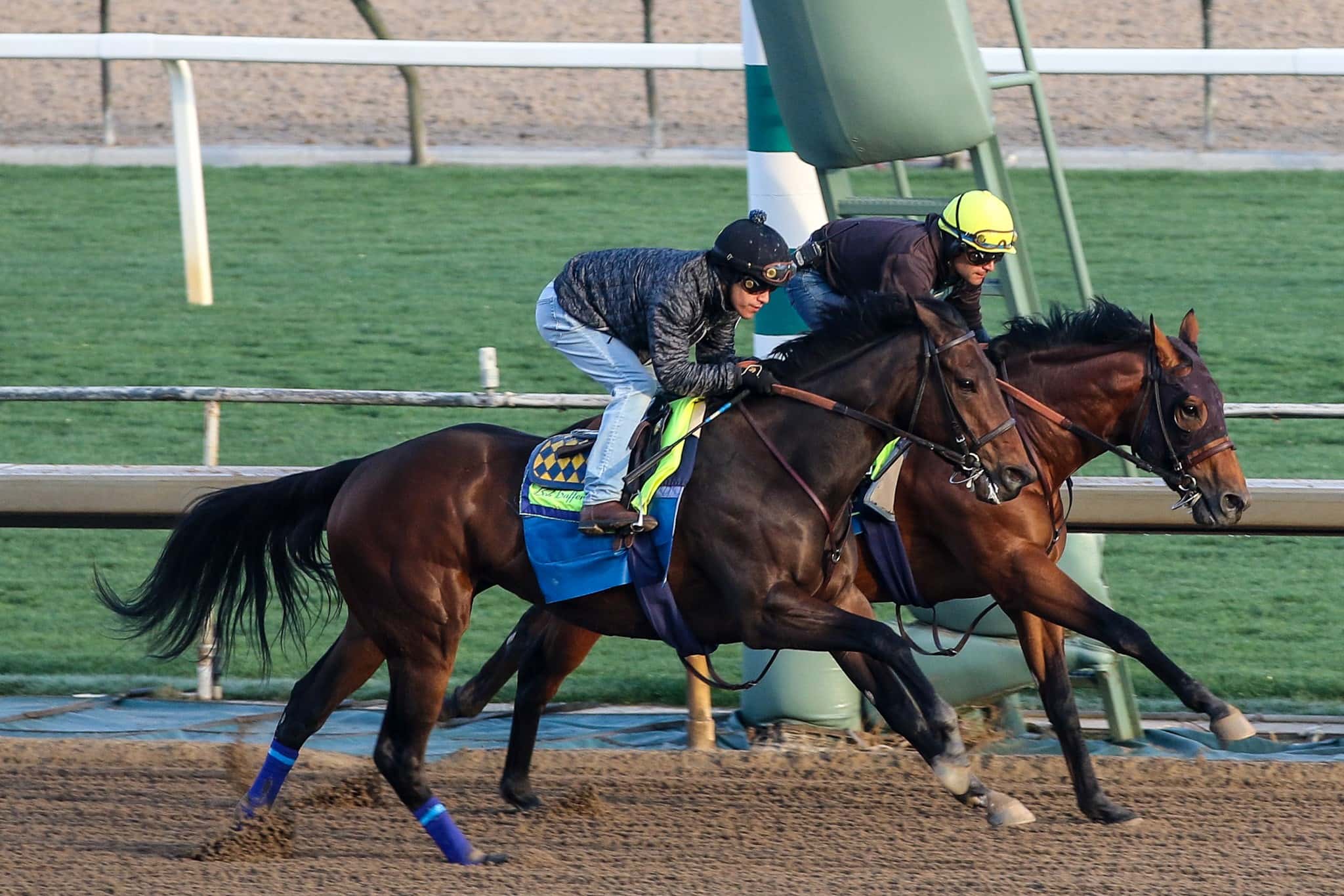 Citizen Bull (Inside) and Richi- EB