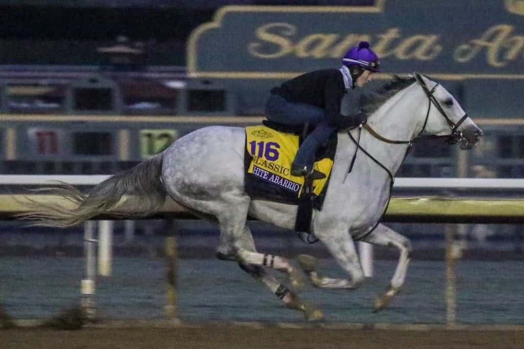 White Abarrio work 10-27