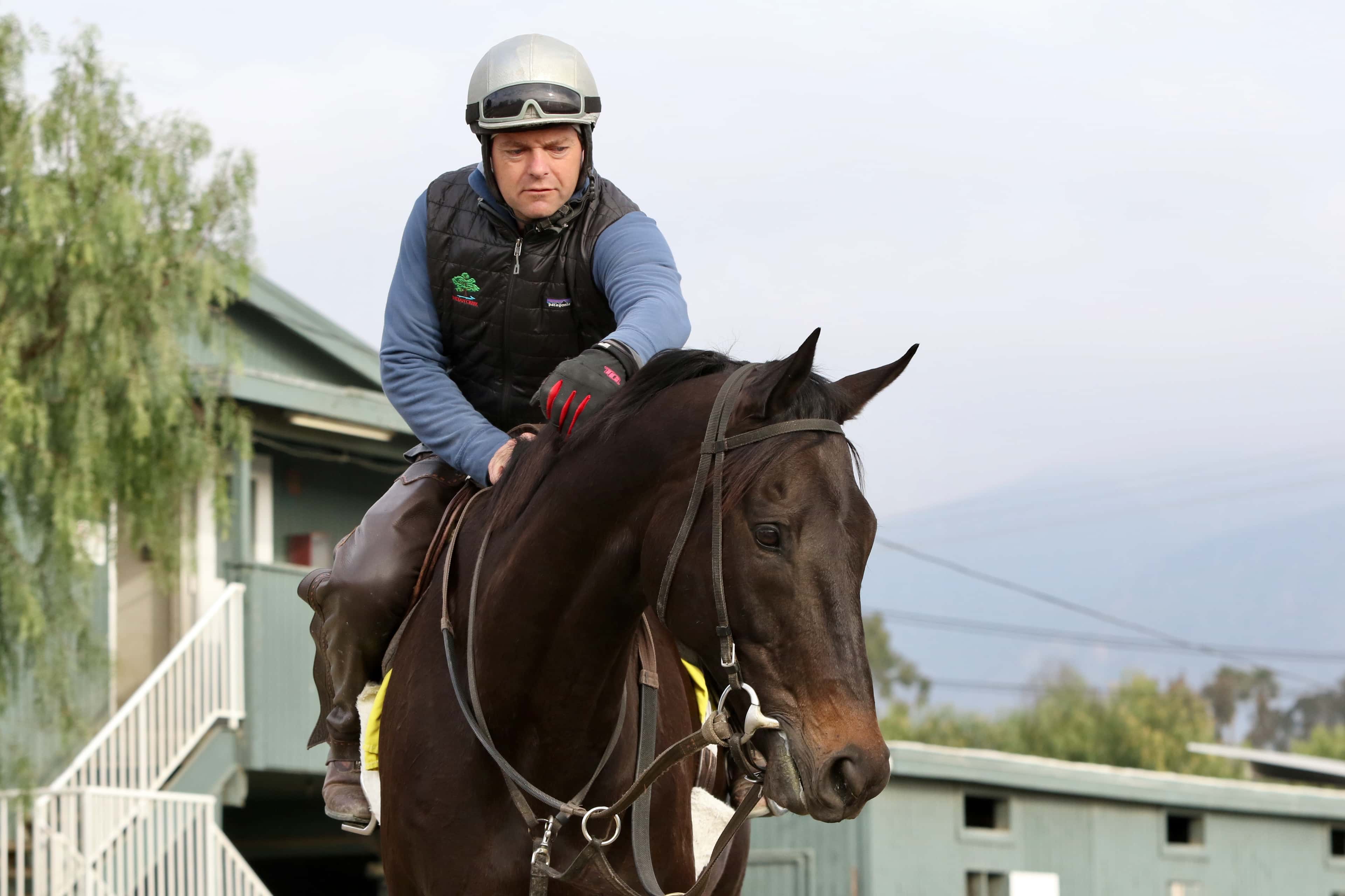 L. Powell and Soi Phet