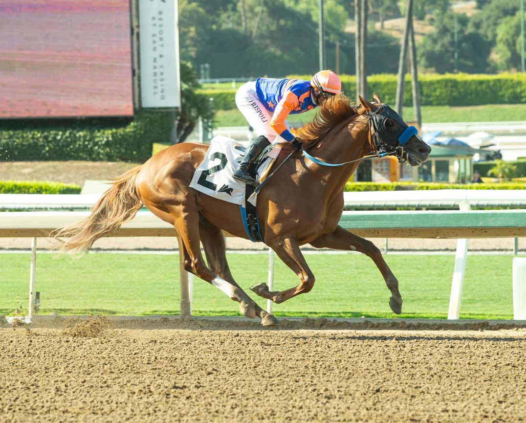 PONY EXPRESS 6.15.25ACTNT