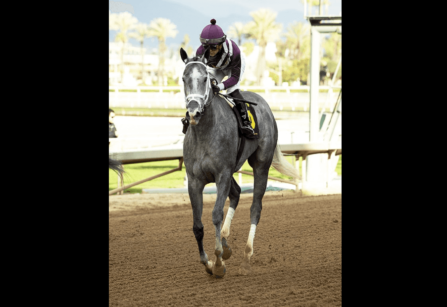 kid azteca cb crop