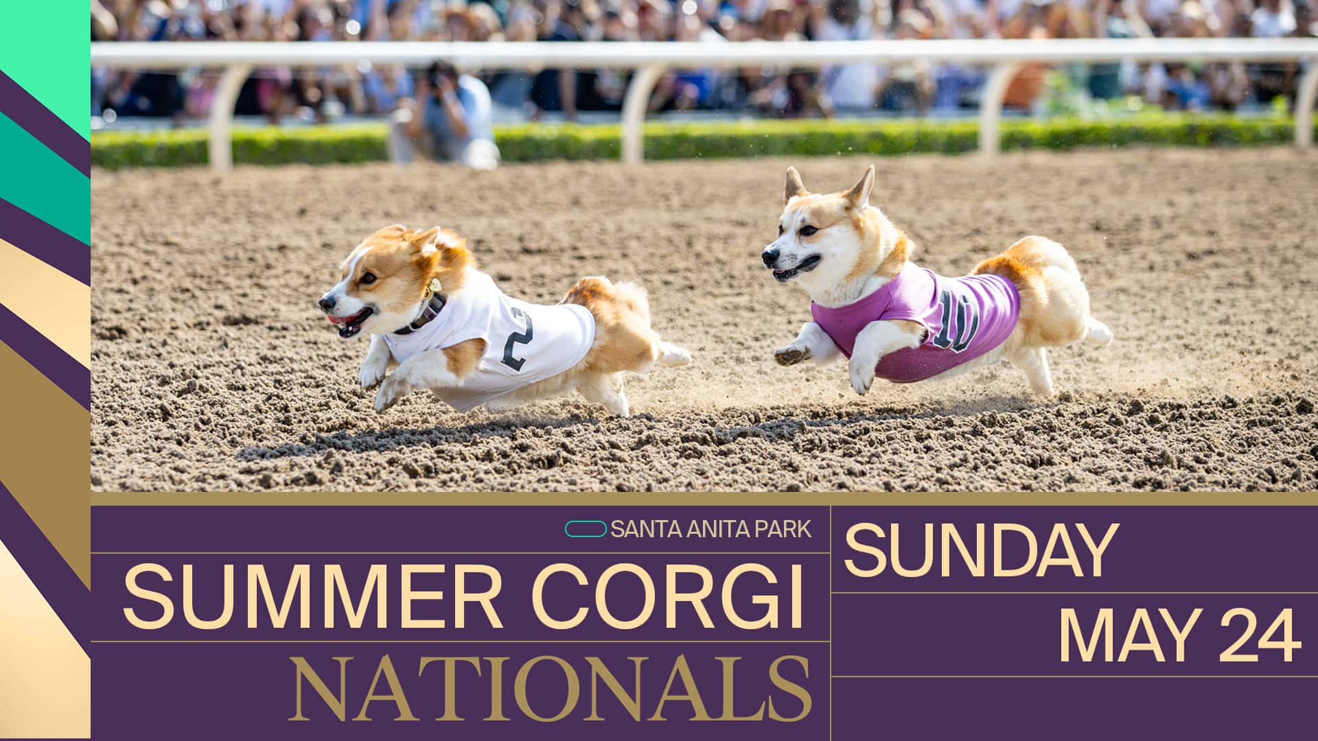 HM Corgi Nationals 26 1920x1080