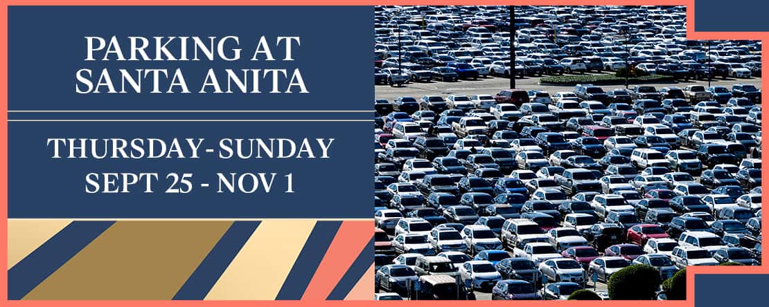 SA Autumn Parking 1110x444
