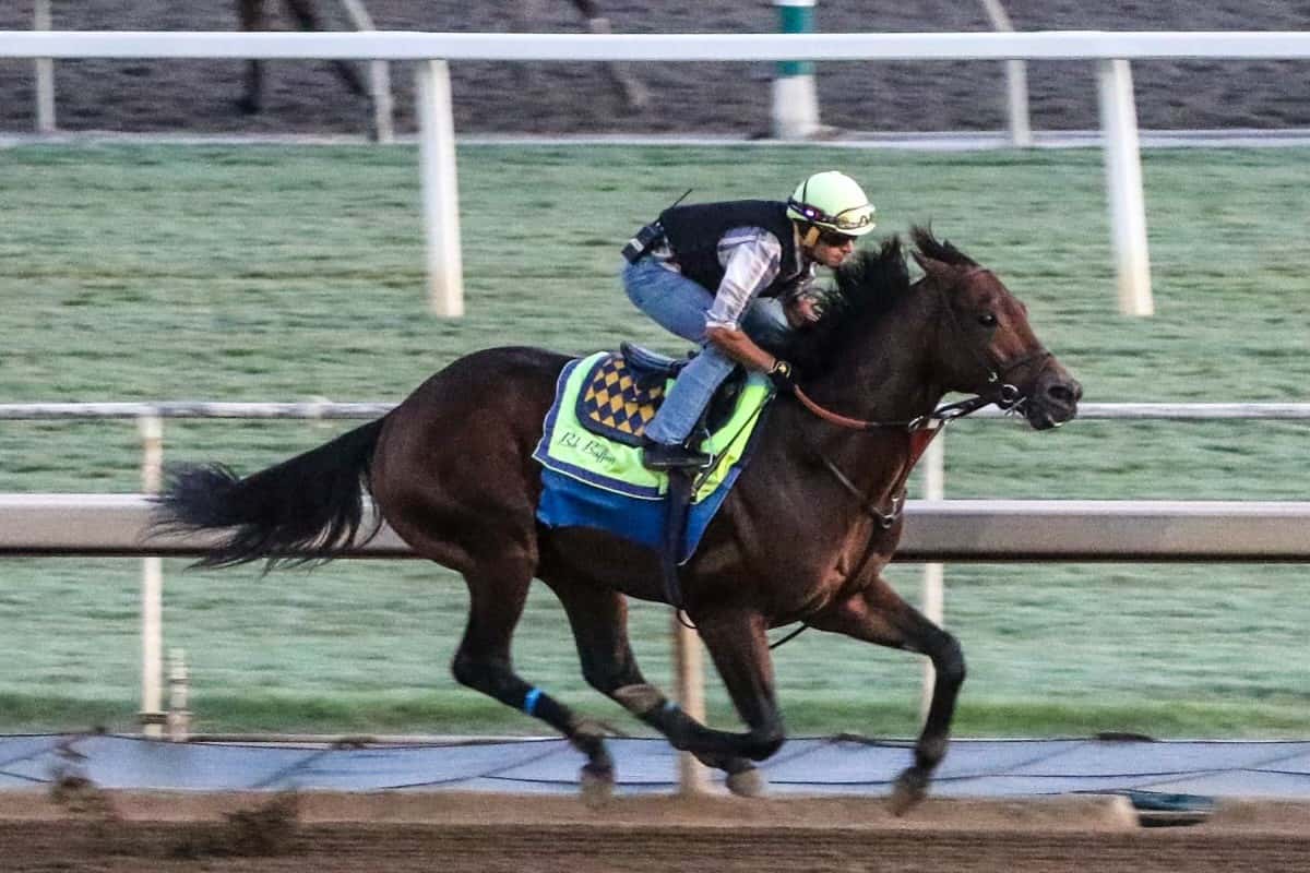 ARABIAN KNIGHT work - eb
