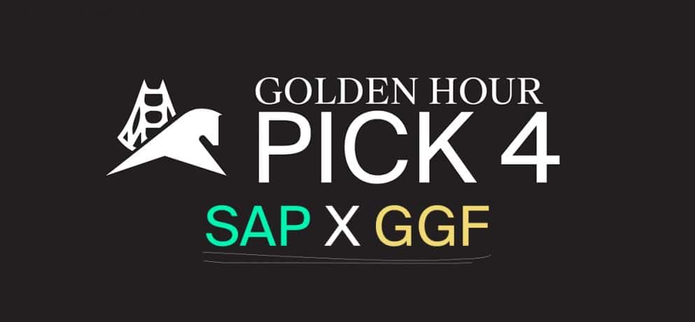 GHP4 sap site-993x461