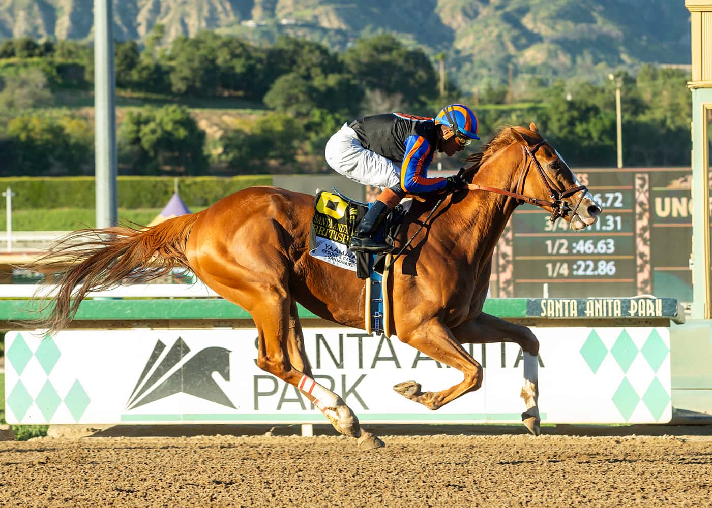 Santa Anita Park added a new photo. - Santa Anita Park Santa Anita Park added a new photo. - Santa Anita Park
