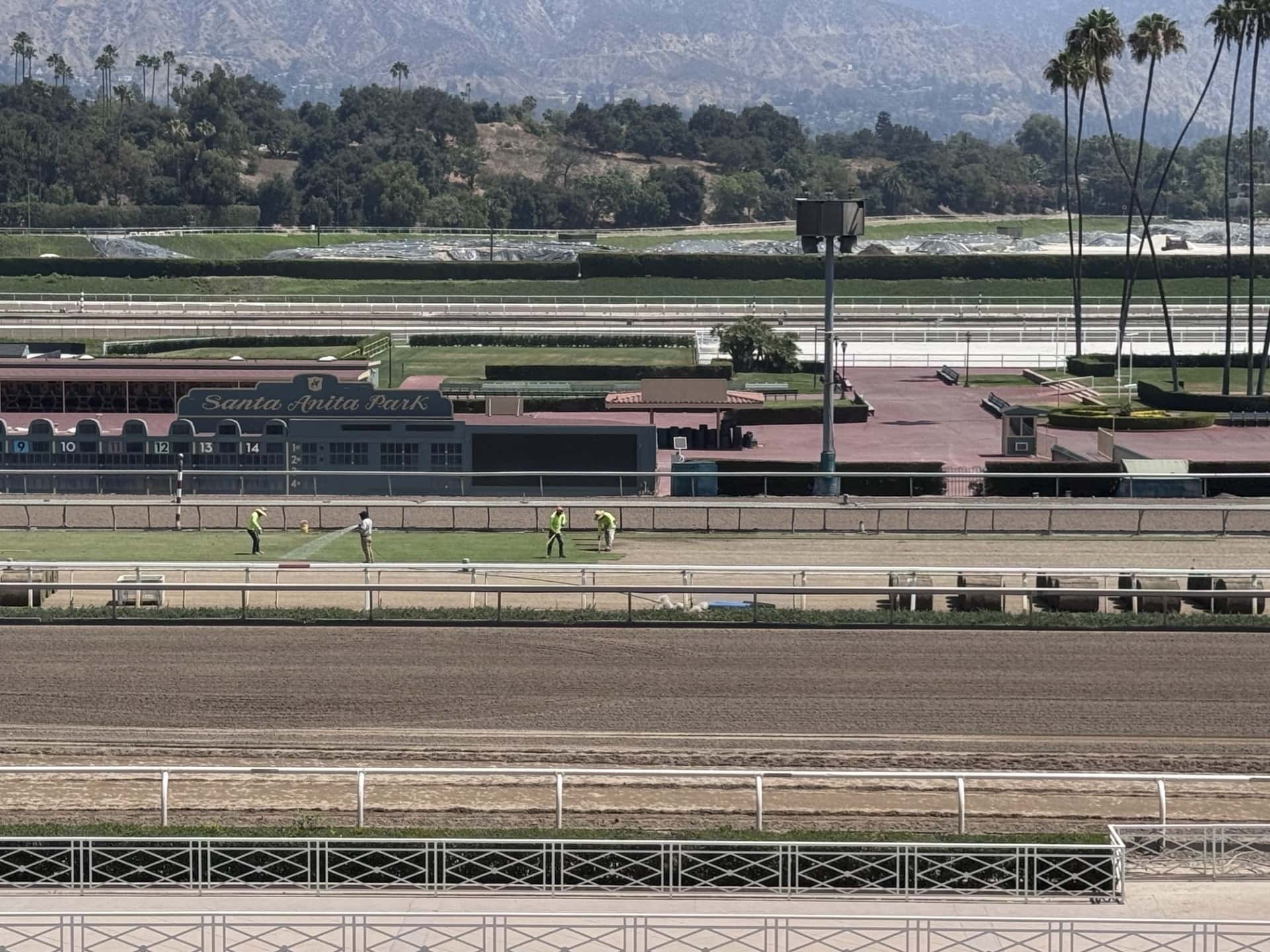 Turf Course Renovation