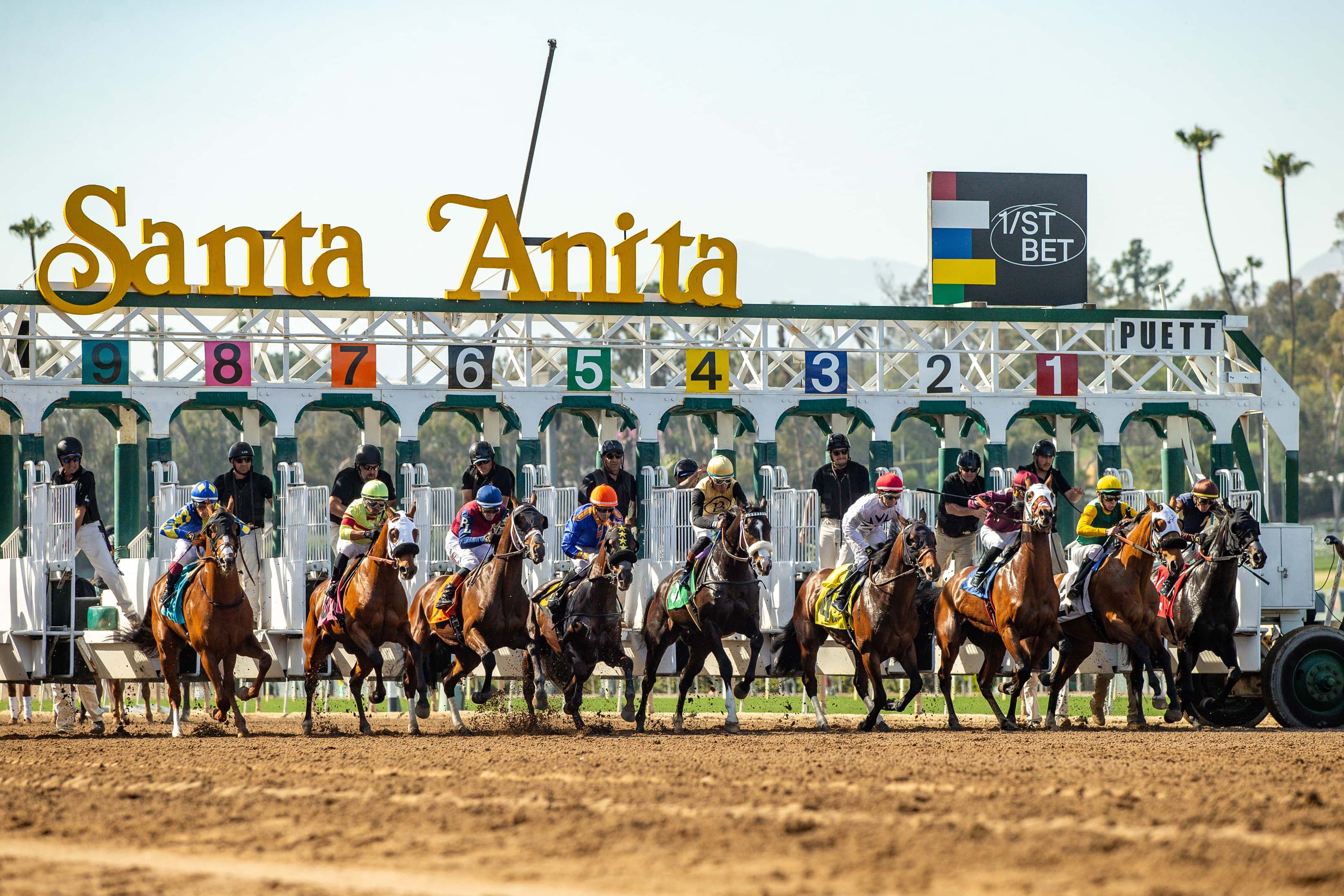 Starting Gate Full Field 2025
