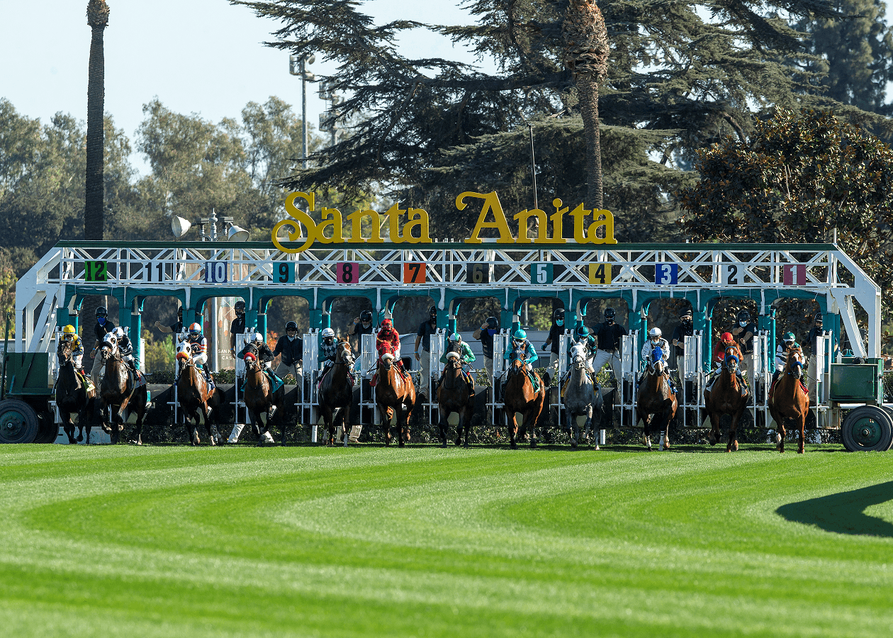 Turf Chute Debute