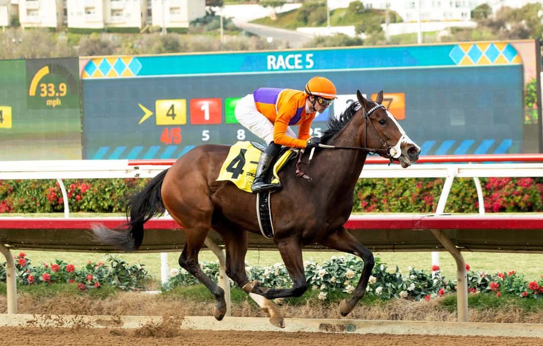 ANACAPA 12.2.22 act