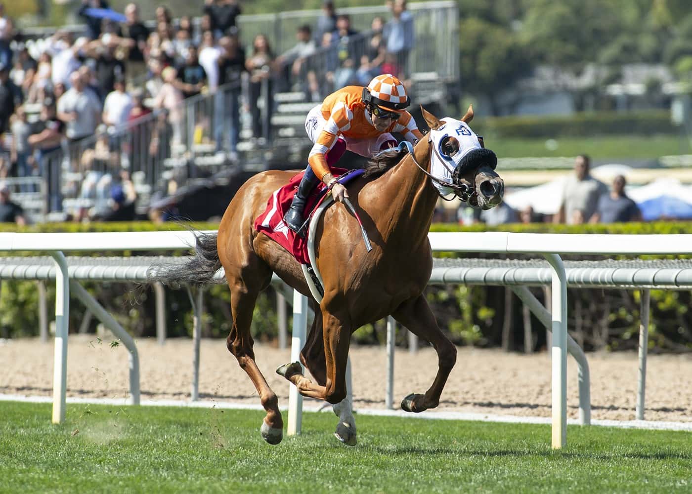 King of Gosford