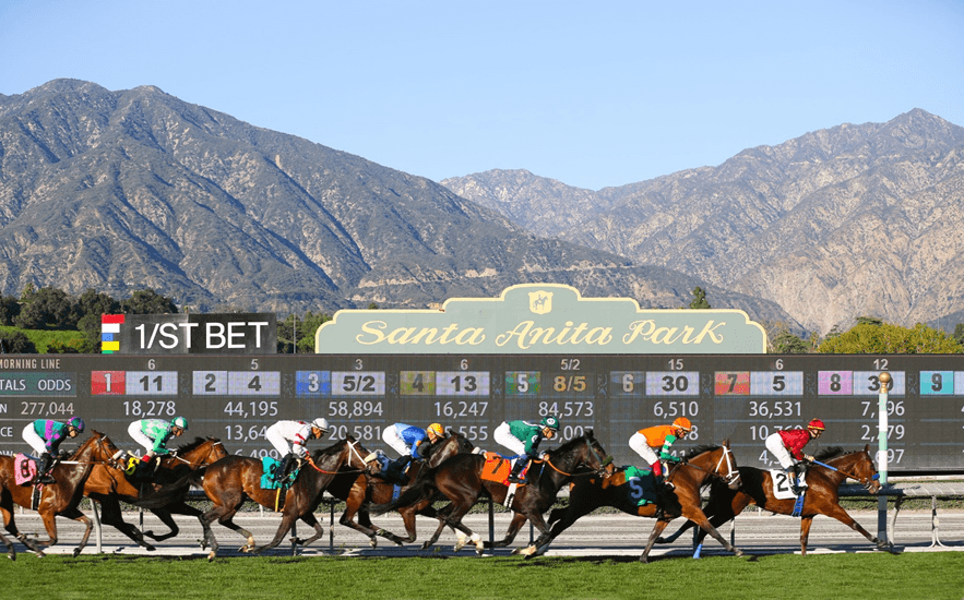 Raceing turf