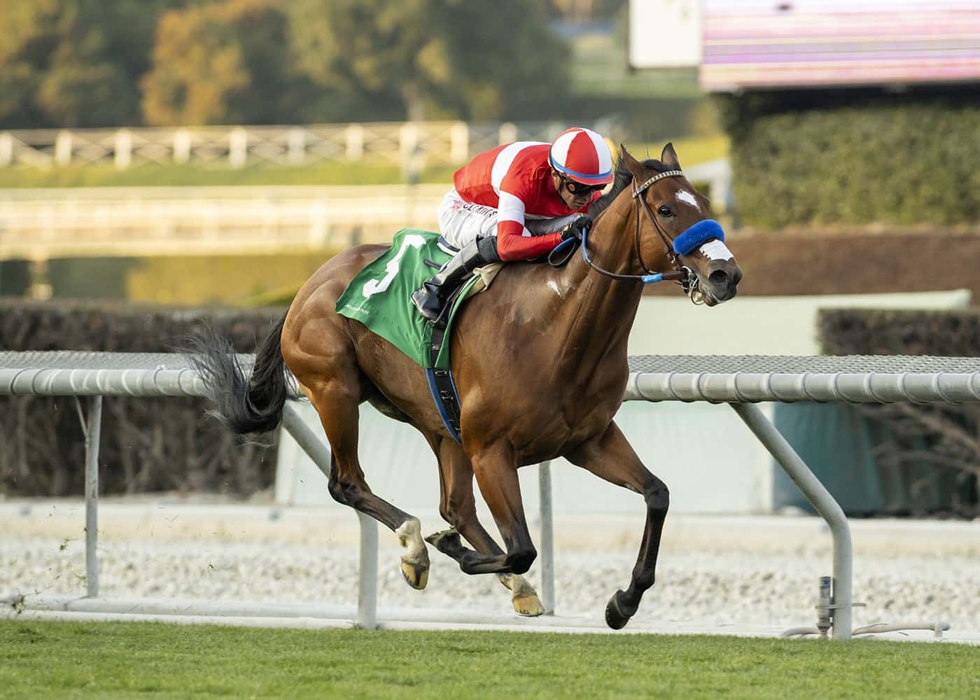 KINGS RIVER KNIGHT 1-13