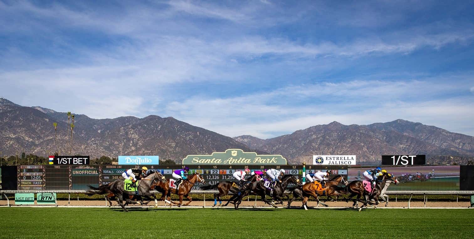 Racing turf beauty 2025