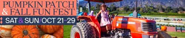 pumpkin patch banner