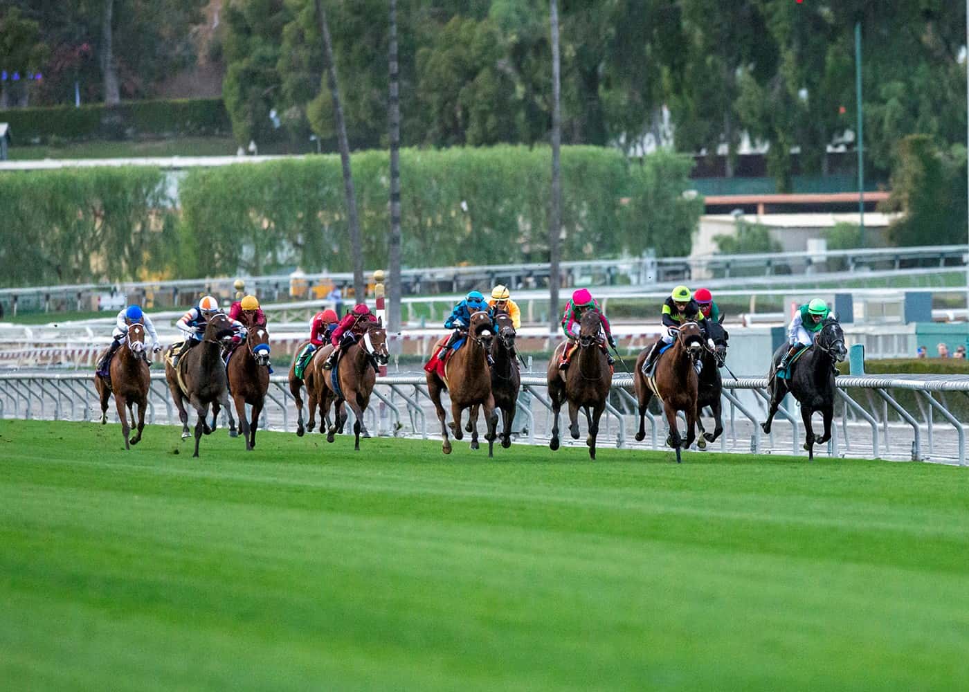 american oaks field turf 2023