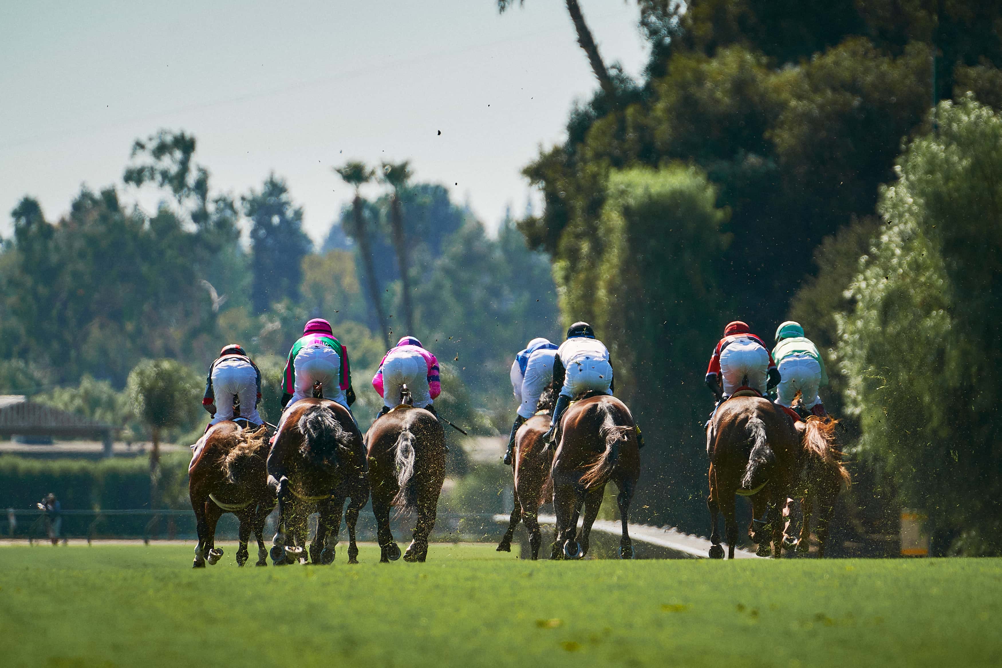 Down the hill they go