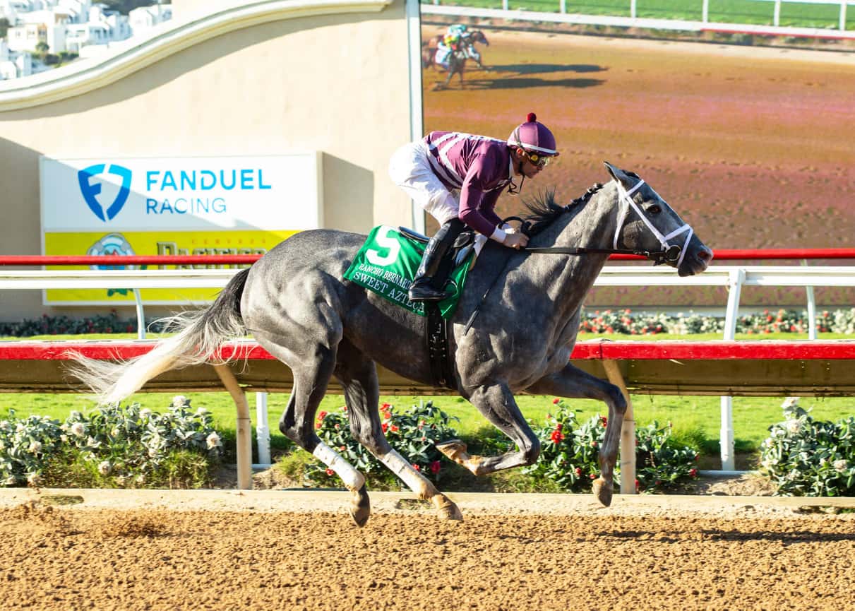 SWEET AZTECA 8.25.24a1