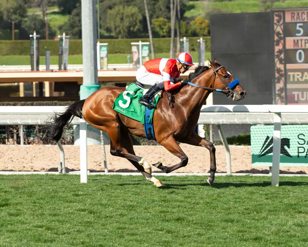 KINGS RIVER KNIGHT 2.24.24.ACTNT