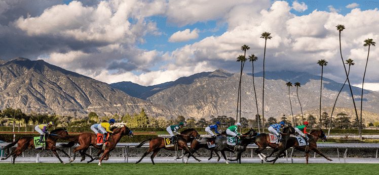 Beauty Racing Scene