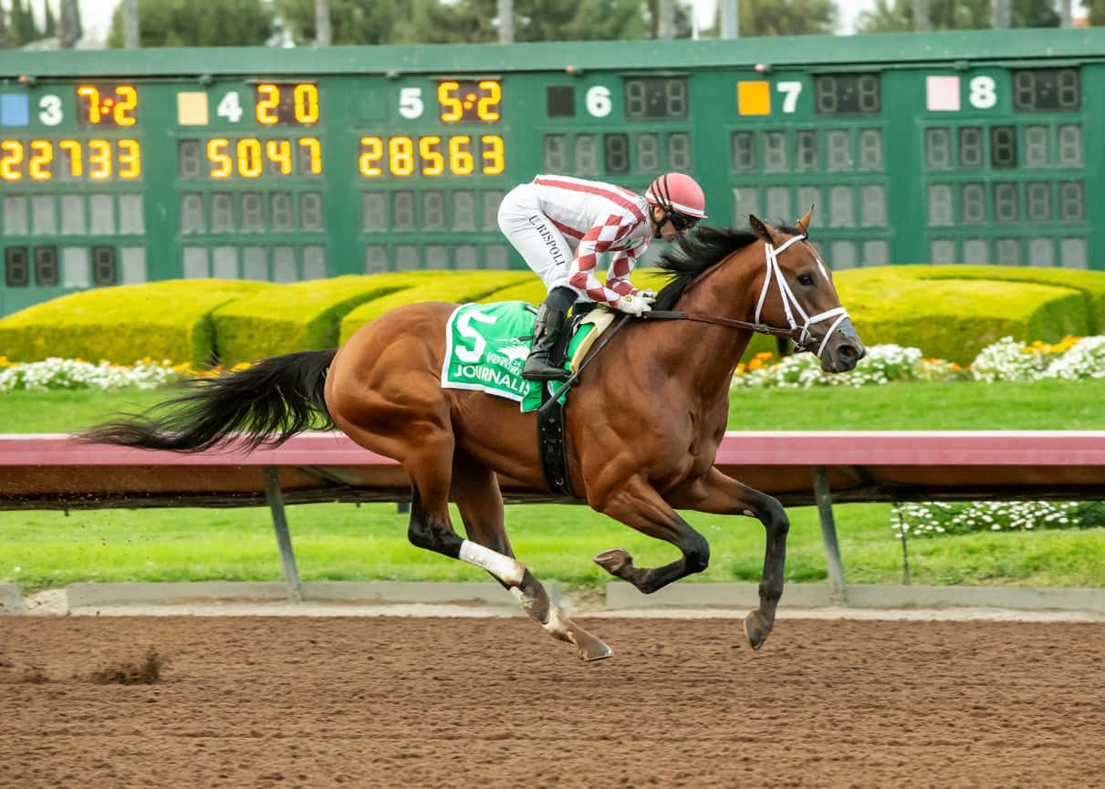 JOURNALISM 12.14.24 a3
