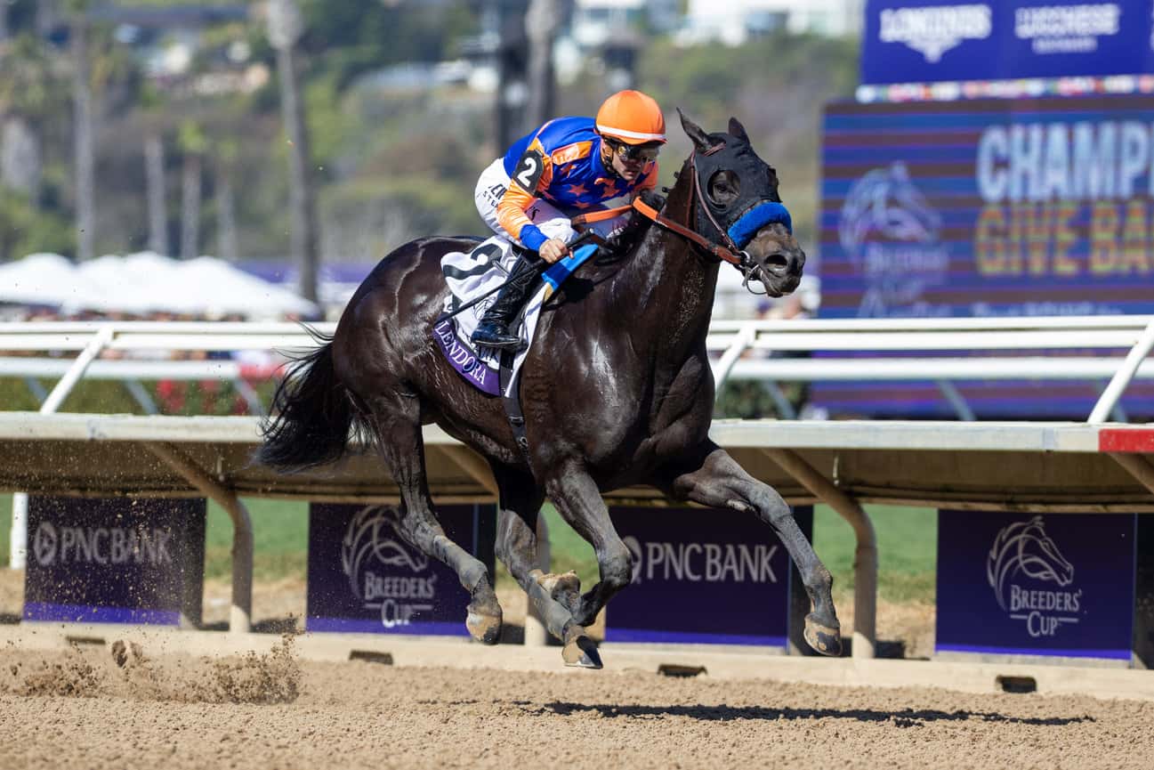 SPLENDORA 11.1.25ZAM 1812