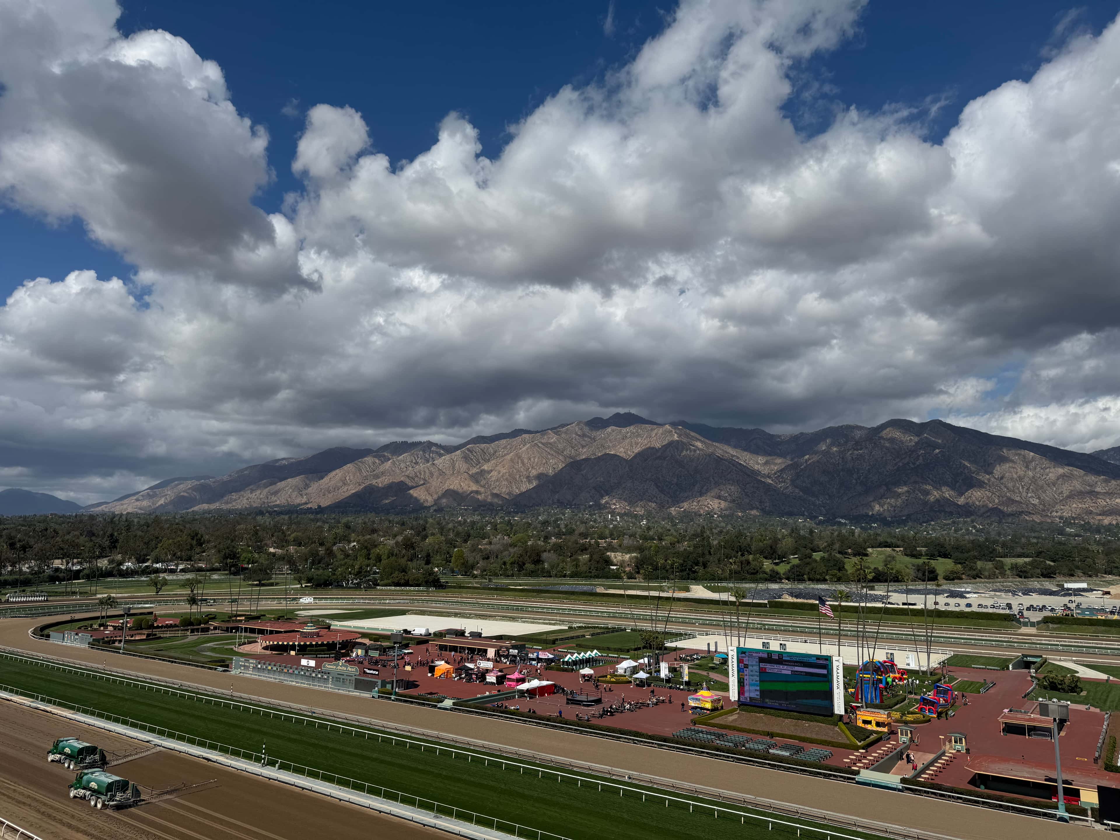 Beauty Mountian Snow 2 Infield crop