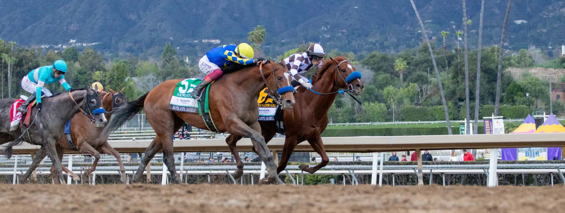 Santa Anita Announces 2024 25 Stakes Schedule Dec 26 Opening Day santa-anita-announces-2024-25-stakes-schedule-dec-26-opening-day