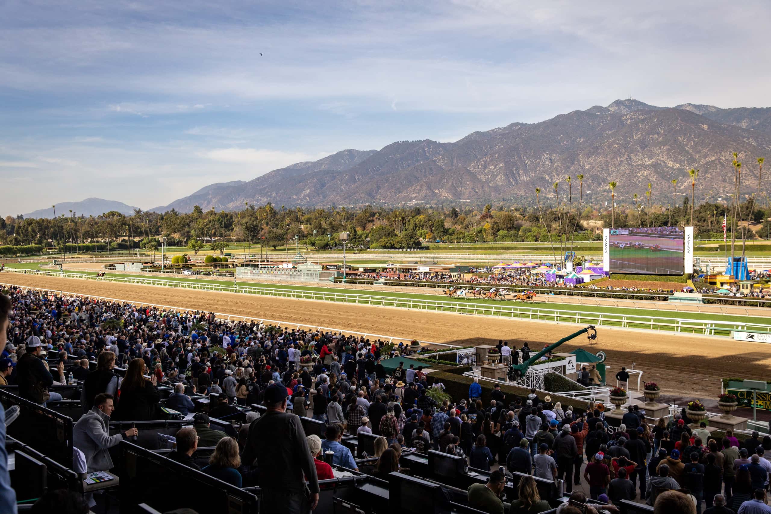 Thoroughbred Horse Racing in Southern California | Santa Anita Park