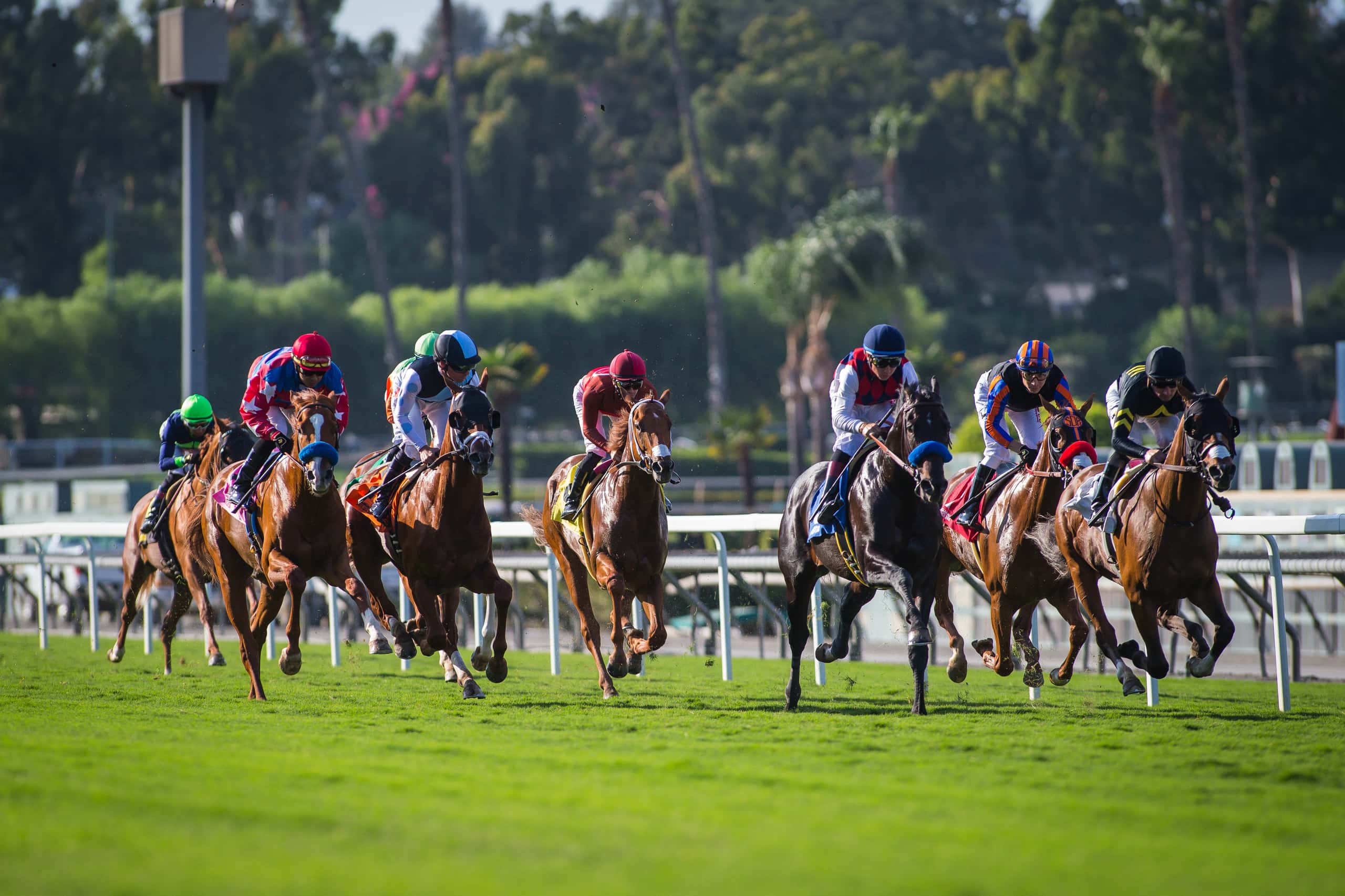 Horse Racing Schedule Santa Anita